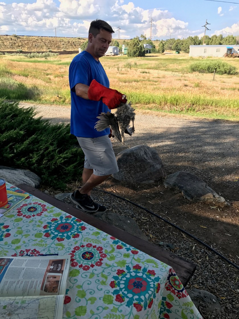 349FD8D9-2A86-4966-A218-24CC7696A9D6